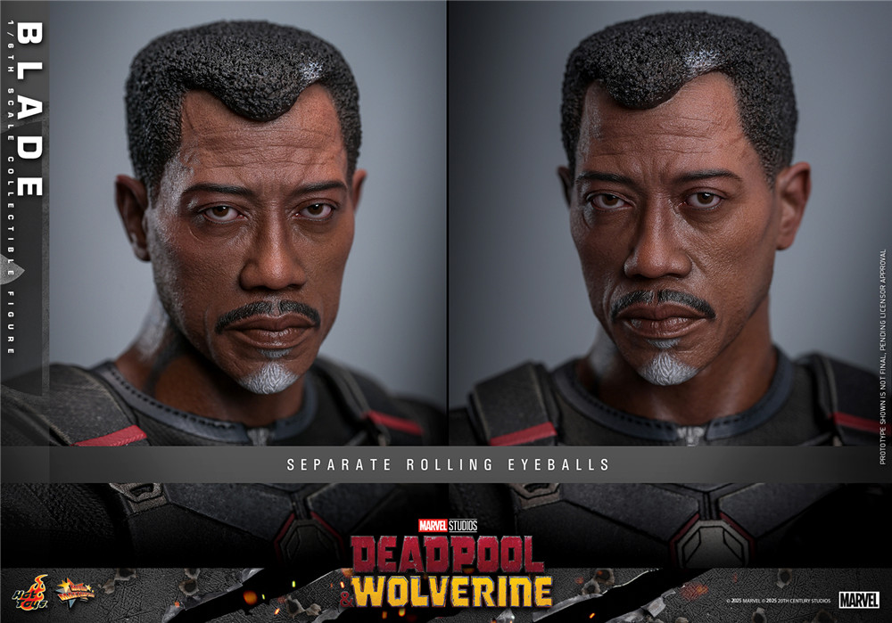 Hot Toys - DP3 - Blade_PR15.jpg